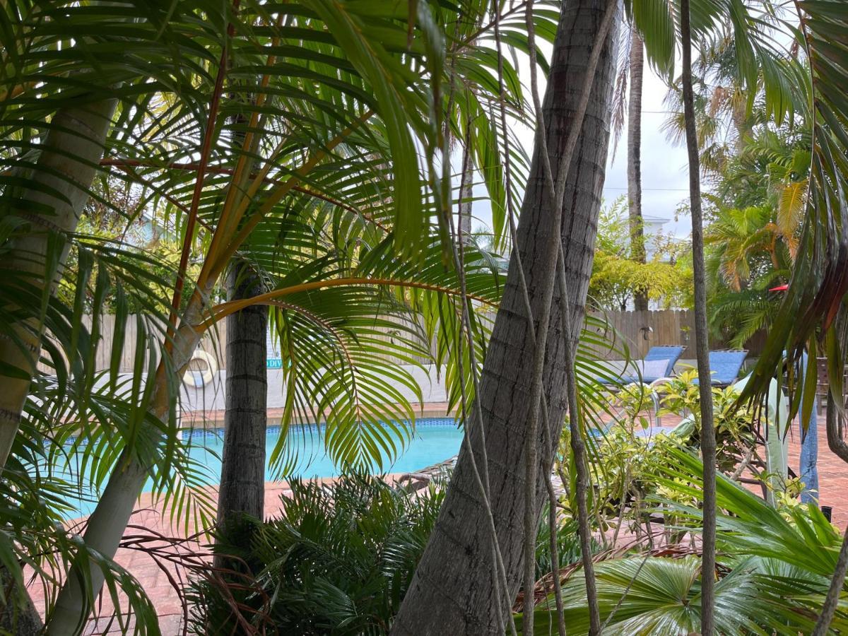 An Island Getaway At Palm Tree Villas 홈즈비치 외부 사진